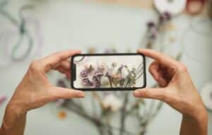 Aplicación para reconocer plantas de manera rápida y precisa